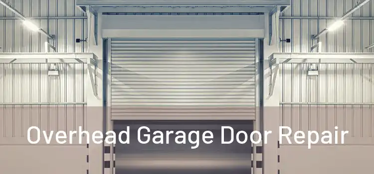  Overhead Garage Door Repair 